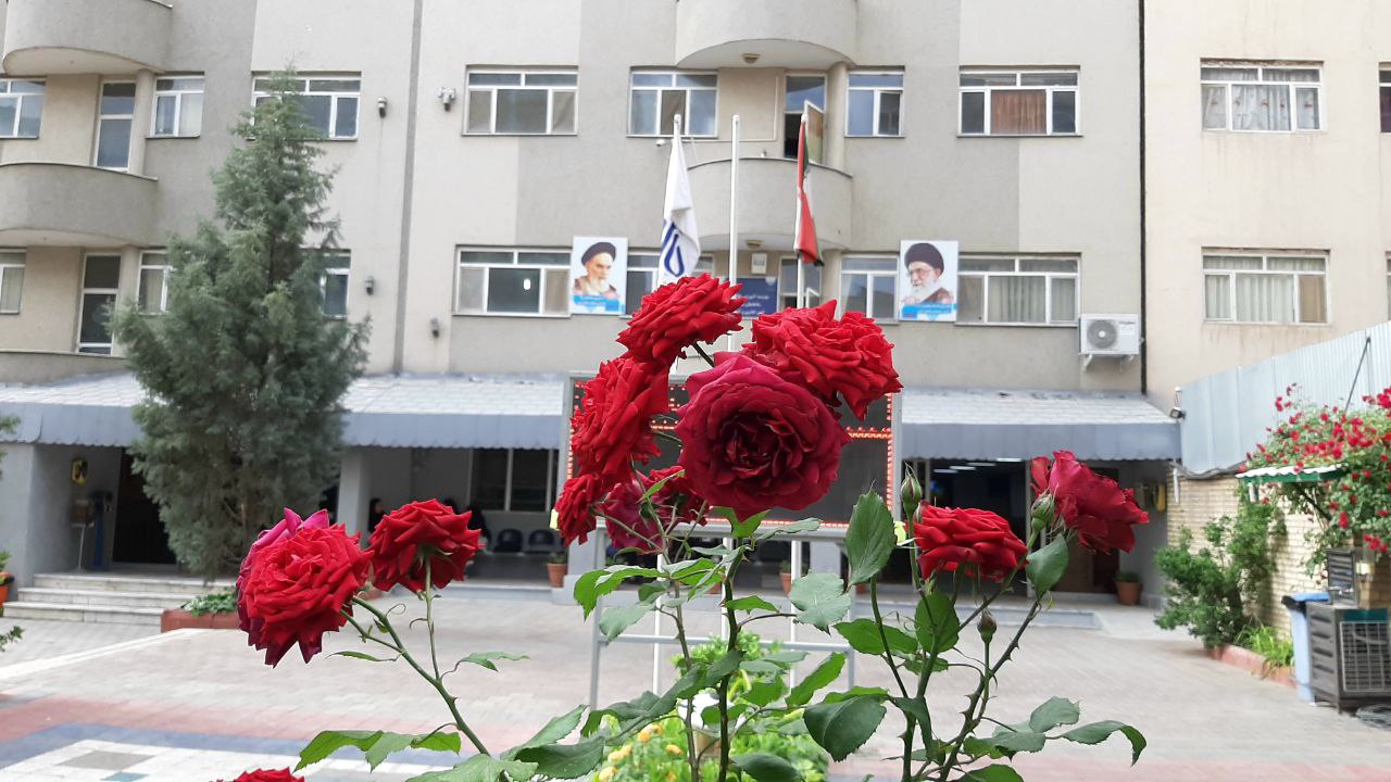محوطه بهاری دانشگاه